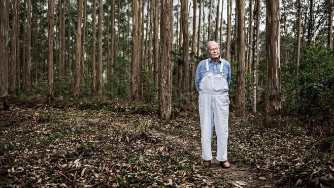 A incrível história de Erling Lorentzen, o visionário da celulose