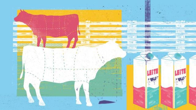 OPINIÃO: O agronegócio é um dos raros consensos do Brasil