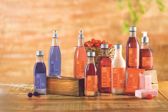 BREAKING: Natura nomeia Fábio Barbosa CEO; simplifica holding