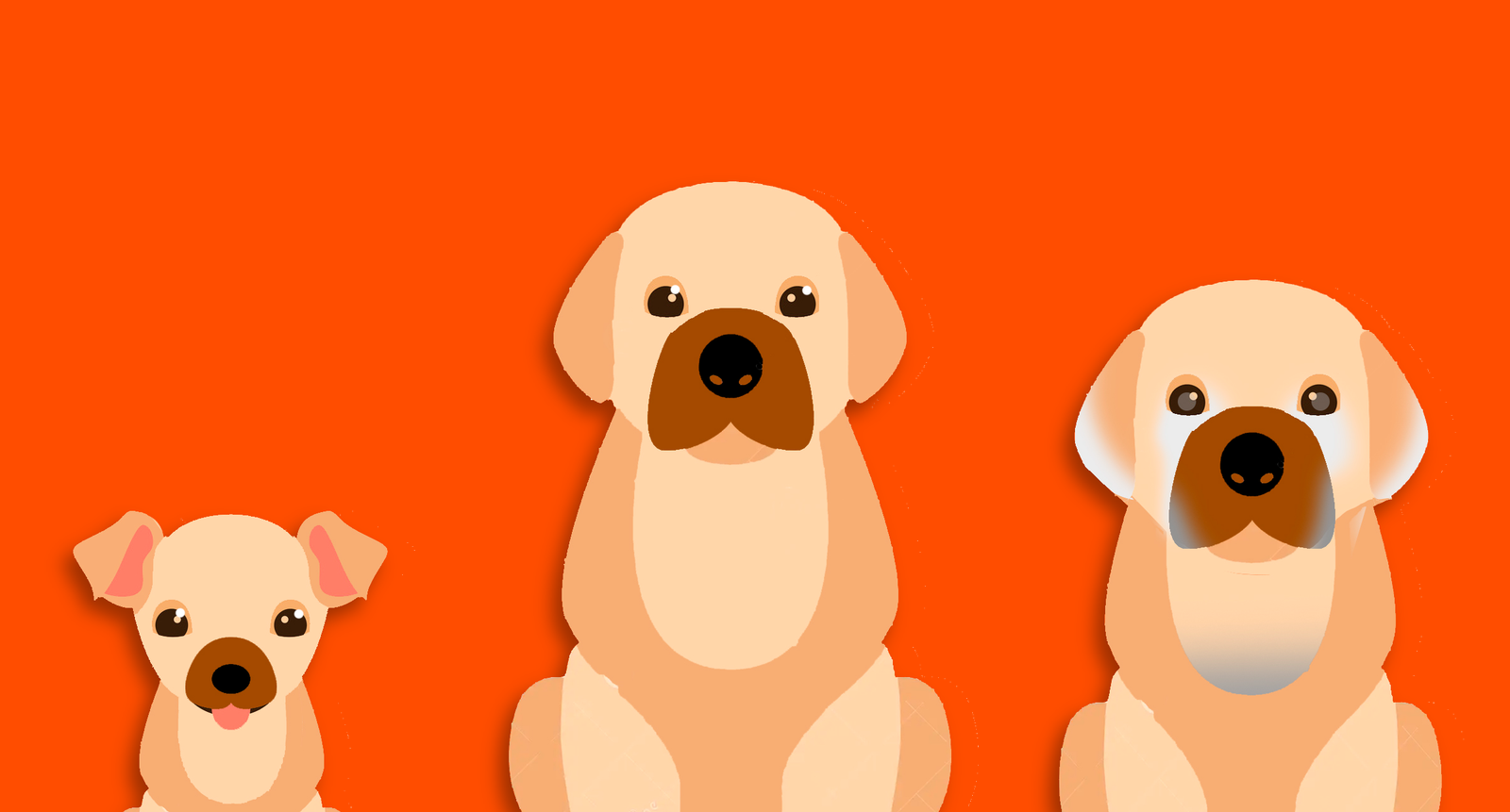 Dá para aumentar a longevidade dos cães? A resposta pode te surpreender
