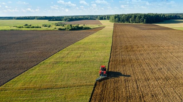 O diferencial da produtividade; Rubens Ometto e o etanol; a ascensão dos biológicos