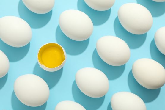 A Global Eggs entrou nos EUA; agora, quer crescer na Europa