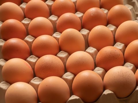 A Raiar quer ter 2 milhões de galinhas orgânicas – um mercado que pode crescer 10x