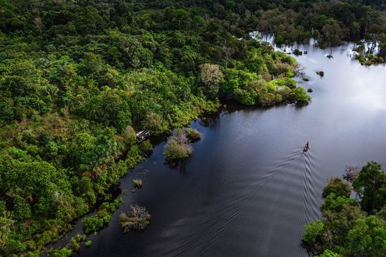 Brasil está a um passo de liderar soluções para a emergência climática