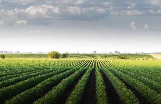 Basf investe na Traive, a fintech do crédito agrícola
