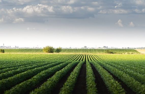 Basf investe na Traive, a fintech do crédito agrícola