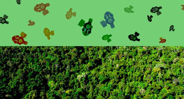 A chance verde do Brasil