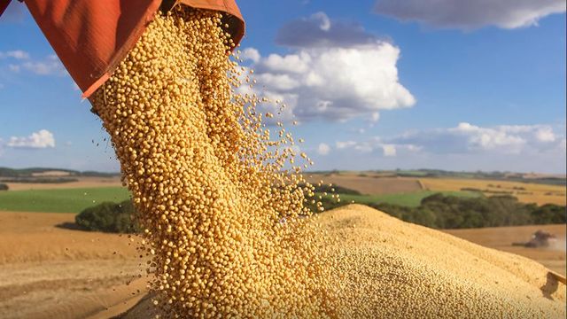 EXCLUSIVO:  Brookfield vende R$ 1,7 bi em terras agrícolas