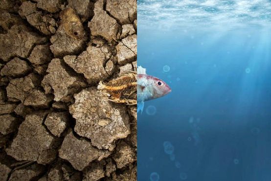 O alerta da Goldman sobre mudança climática