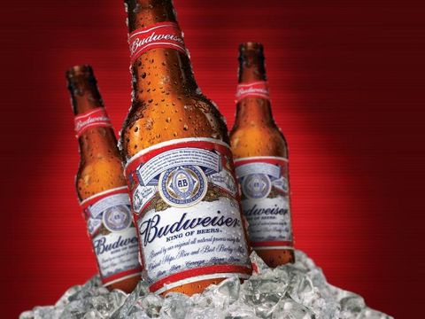 EXCLUSIVO: CFO da Ambev substituirá Dutra na Anheuser-Busch InBev
