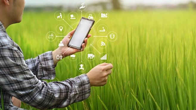 Pecuária Transparente: nova  plataforma amplia rastreabilidade
