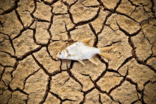 O casal do Climatempo voltou com um canal de TV. O conteúdo é preocupante
