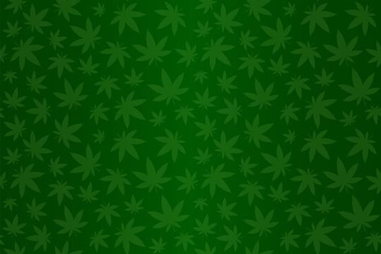 Não liberou geral: Governo Trump aprova maconha, mas só para uso medicinal