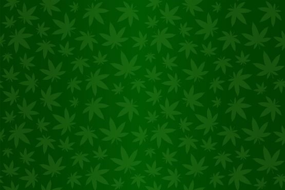 Não liberou geral: Governo Trump aprova maconha, mas só para uso medicinal
