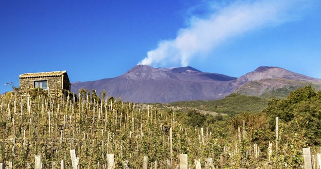 Uma viagem à Etna, do vulcão para a taça