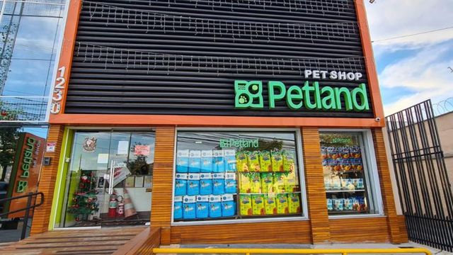 EXCLUSIVO: A lojinha de bairro que quer ser o maior pet shop do mundo