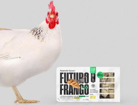 Frangos pousam na Fazenda Futuro