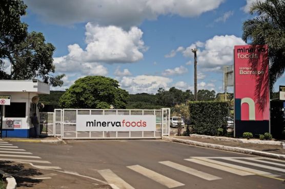 Minerva paga R$ 7,5 bilhões por plantas da Marfrig