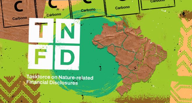 COP30: por que o Brasil pode pagar a conta do carbono