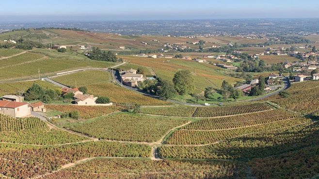 5 vinhos para começar 2022