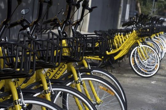 Por que as verdinhas estão indo para a Yellow