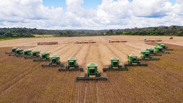 SLC paga R$ 33 mil por hectare em compra oportunística na Bahia