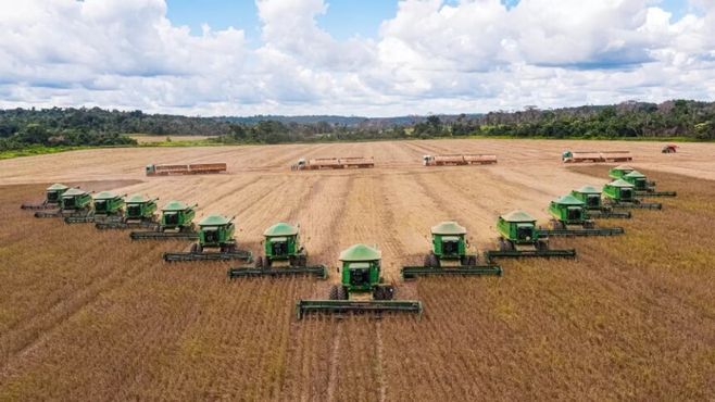 SLC Agrícola: por que JP Morgan e BofA estão ‘bullish’