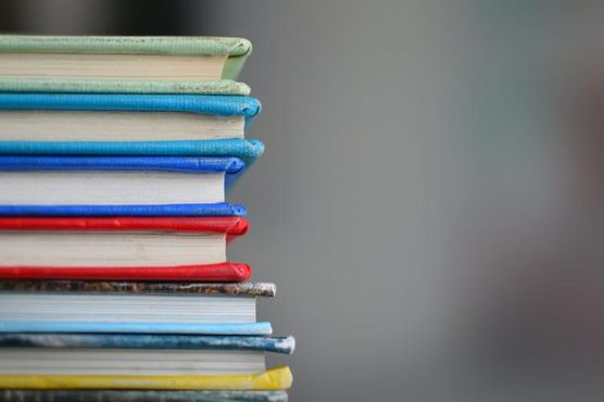 Na Educação, finalmente alguém do ramo?