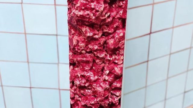 Adriana Varejão: o Brasil azulejado, fissurado e em ruínas