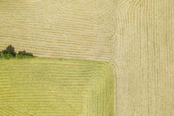 Produzir no agro ou preservar o planeta? O antagonismo está dando lugar à simbiose