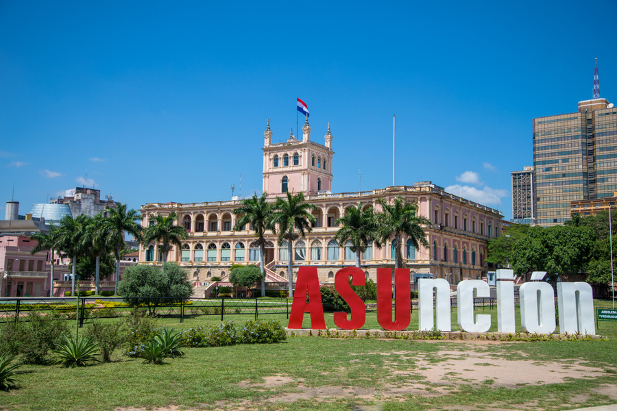 comportamento article test