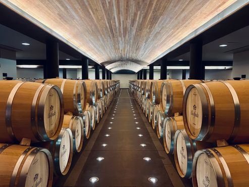 No Vale de Colchagua, o berço do Clos Apalta