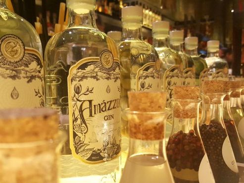 Pernod investe na Amázzoni, marca de gim brasileira
