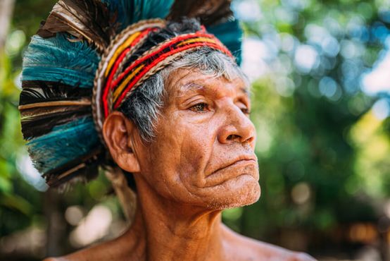 Por uma Faria Lima sem vergonha de abraçar as árvores