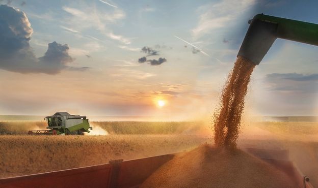 Por que a demanda por commodities agrícolas vai perder o ritmo