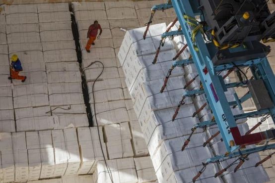 Família Feffer pensa grande e migra Suzano para o Novo Mercado
