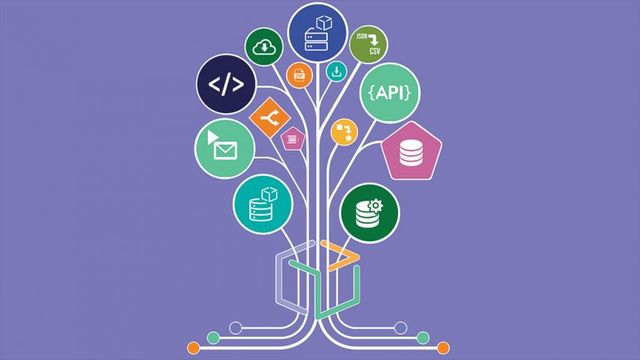 A Digibee já compete com a IBM e Oracle no Brasil; agora, quer avançar no território inimigo
