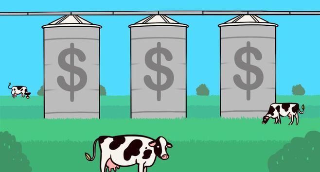 Onde faltam silos sobra oportunidade.  É a tese do Quasar Agro
