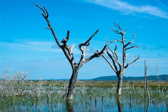 No Pantanal, está faltando água (e uma lei)