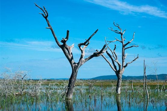 No Pantanal, está faltando água (e uma lei)