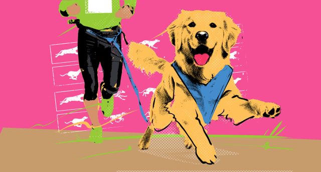 Conheça o canicross, a corrida que une cães e humanos