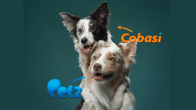OPINIÃO. Os riscos à concorrência da fusão Petz/Cobasi