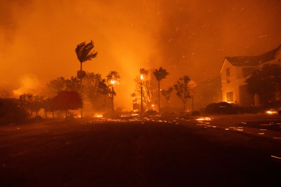 Inferno em Los Angeles já custa US$ 50 bilhões