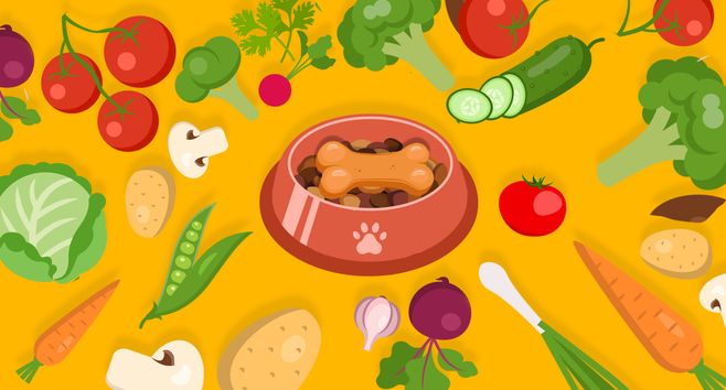 Alimentação natural: os pets também amam