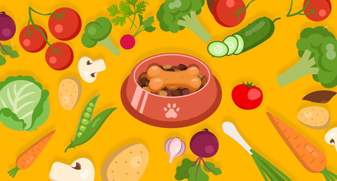 Alimentação natural: os pets também amam