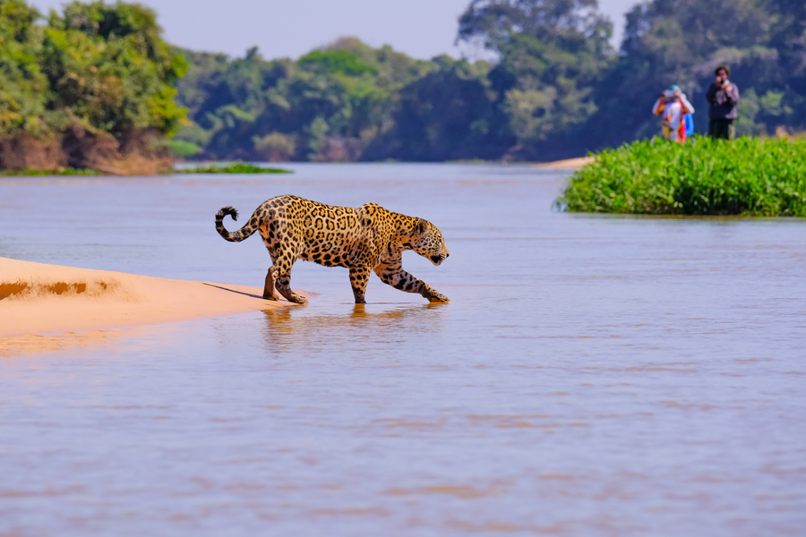 As diversas formas de se viver o Pantanal