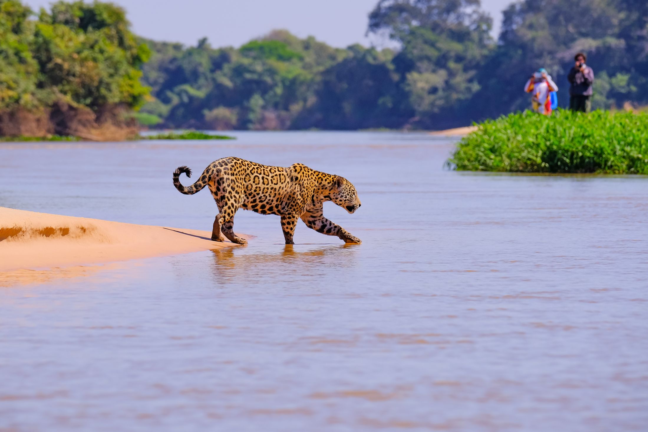 As diversas formas de se viver o Pantanal