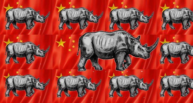 Na China, tenha medo dos 'rinocerontes cinzas'