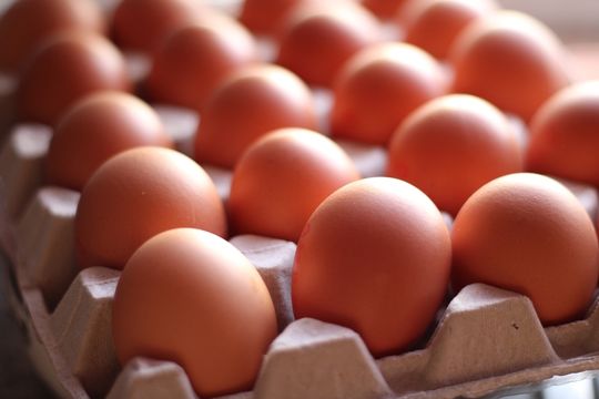 Granja Faria perto de M&A de US$ 1 bi nos EUA junto com o BTG