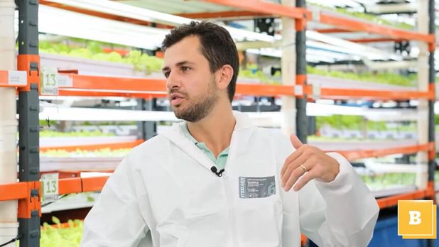 100% Livre, a startup que investe em trigo “indoor”
